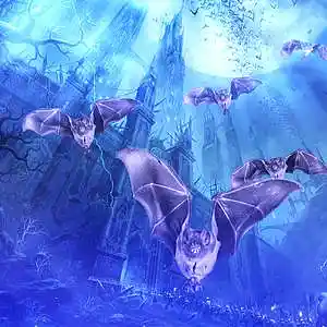 Picture for song 'Moonlight Damnata [Orchestral Version]' by artist '2uo7rax'