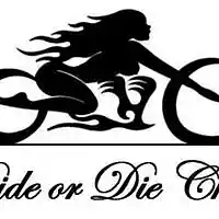 Picture for song 'Ride or die feat JC of the finest' by artist 'Baby Nelson'