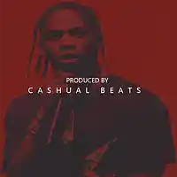 Picture for song 'TouchDown' by artist 'Cashualbeats'