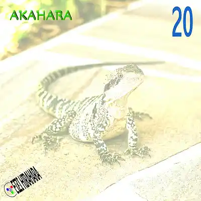 Picture for song 'AKAHARA 20' by artist 'Eizi Hirahara'