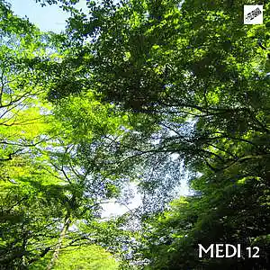 Picture for song 'Medi 12' by artist 'Eizi Hirahara'