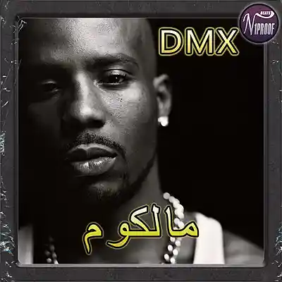Picture for song 'DMX TYPE BEAT malkom' by artist 'N1PROOF BEATS'