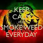 Picture for song 'Smoke Weed Everyday' by artist 'NIKUS Production'