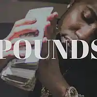 Picture for song 'POUNDS (YFN Lucci x Dae Dae Type) FREE DL!' by artist 'PAPLO'