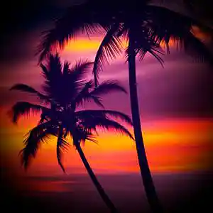 Picture for song 'Melodic type beat x Boom Bap x Piano "Tropic"' by artist 'Puls Ever'