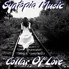 Picture for song 'Collar Of Love' by artist 'Syntopia Music'