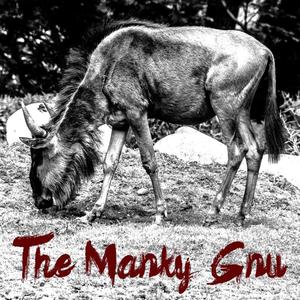 Picture for song 'The Door' by artist 'The Manky Gnu'