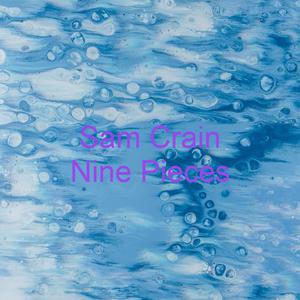Picture for song 'Nine' by artist 'Sam Crain'