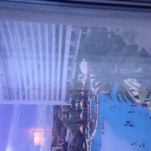 Picture for song 'Rise' by artist 'LxveLife'