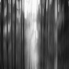 Picture for song 'Lost In The Forest' by artist '4thEden'