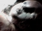 Picture for song 'An Autumnal Immanence' by artist 'Backyard Ghost'