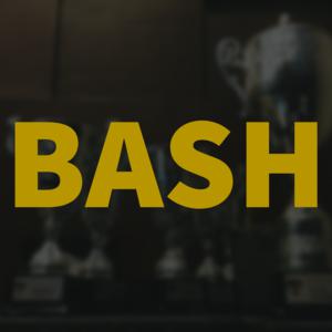 Picture for song 'Bash (Buy 1 Get 4 FREE)' by artist 'BDunnMusic'