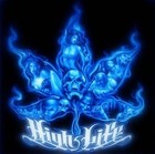 Picture for song 'its 420' by artist 'Big Shot 024'