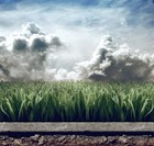 Picture for song 'Otherside' by artist 'Buck 50 Beatz'