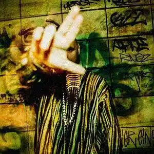 Picture for song 'Paranoia / Fler Type Beat (2 For 1)' by artist 'Buckroll'