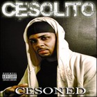 Picture for song 'CALL ME FRESH' by artist 'Cesolito'