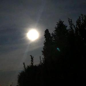 Picture for song 'SmeLL' by artist 'Cliprecordingstudio beats'