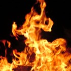 Picture for song 'Torched *NEW*HOT*' by artist 'Davie Dynamite'