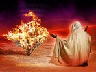 Picture for song 'SAXX of FIRE 2011' by artist 'DJ BLACKZONE'
