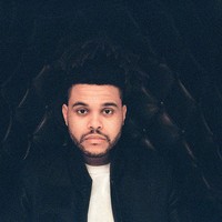 Picture for song 'Calm Down(Ride It) W/Hook www.DjFlippp.com' by artist 'DjFlippp'