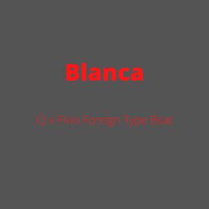Picture for song 'Blanca [CJ x Fivio Foreign x Pop Smoke Type Beat]' by artist 'DJ Mauri B'