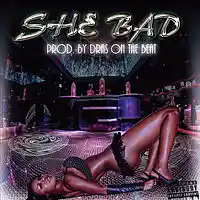 Picture for song 'She Bad w/o hook' by artist 'Dras On The Beat'