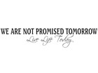 Picture for song 'Not Promised 2morrow' by artist 'Dukey Stains'