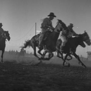 Picture for song 'Wild West' by artist 'Faaber'