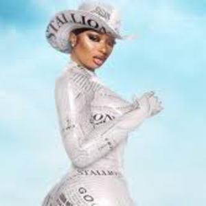 Picture for song 'PILLZ (Gucci Mane x Megan The Stallion)' by artist 'FRXNKLIN'