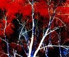 Picture for song 'Syd Vermin - Can You Save Me' by artist 'Grim Underground'