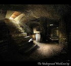 Picture for song 'From The Basement' by artist 'ILL (Intelligent Loud Logic)'