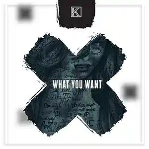 Picture for song 'What You Want' by artist 'Kay Evin Music'