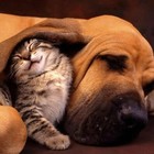 Picture for song 'You Are So Good To Me' by artist 'Larry Whitler'