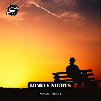 Picture for song 'LONELY NIGHTS [COUNTRY RAP TYPE BEAT]' by artist 'Malley Beats'