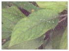Picture for song 'weather tagged (lease = no tags)' by artist 'Mark Hogan Beats'