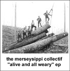 Picture for song 'merseyssippi collectif - she's the girl' by artist 'Merseyssippi Collectif'