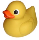 Picture for song 'You can't keep a good duckie down' by artist 'Nate Shapiro'