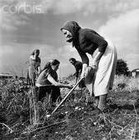 Picture for song 'Russian Folk Song' by artist 'NerdWing'