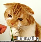 Picture for song 'New Drum Mix Test' by artist 'nicolapnea'