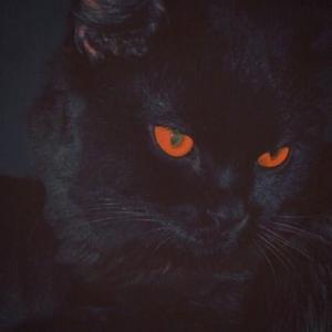 Picture for song 'KELLY - Central Cee x Pop Smoke x Melodic Drill' by artist 'nolyrics music group'