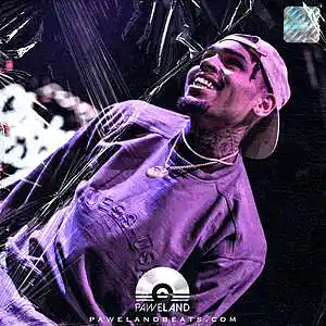 Picture for song 'BREEZY - (Chris Brown Type Beat, Scott Storch)' by artist 'Paweland Beats'