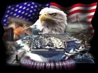 Picture for song 'United We Stand (radio version)' by artist 'QuietLike'
