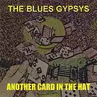 Picture for song 'Hey Man' by artist 'Ricky Parish And The Blues Gypsys'