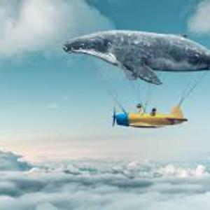 Picture for song 'Dreams by s9undV1ZNZ K 0 D 3 7' by artist 's9undV1ZNZ K 0 D 3 7'