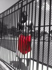 Picture for song '@STARTERONDATRAK ULIKEITILOVEIT' by artist 'STARTER ON DA TRACK'