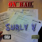 Picture for song 'dub city' by artist 'Surly V'