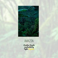 Picture for song 'Amazon' by artist 'Taylor Supreme'