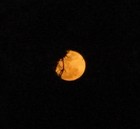 Picture for song 'Maddie's Moon (Original)' by artist 'TexScratch'