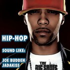 Picture for song 'Hide' by artist 'The Big Shots'