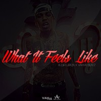 Picture for song 'What It Feels Like (Alex Lurkin)' by artist 'VahhaBeatz'